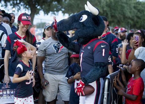 The Fan Perspective: Why Bulging NFL Mascots Are so Beloved